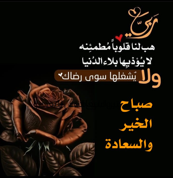 صباحا" يترنم بتغاريد العصافير 🐦
بأريج البنفسج 🌺💜
صباح مليء بالأمل والطيب ..
صباح الورد يا اهل الورد
لروحكم أكاليل الياسمين
والنرجس 💐🌺

#صباحكم_سعادة_وفرح
🌺🌼❤🦋💐🌺💚