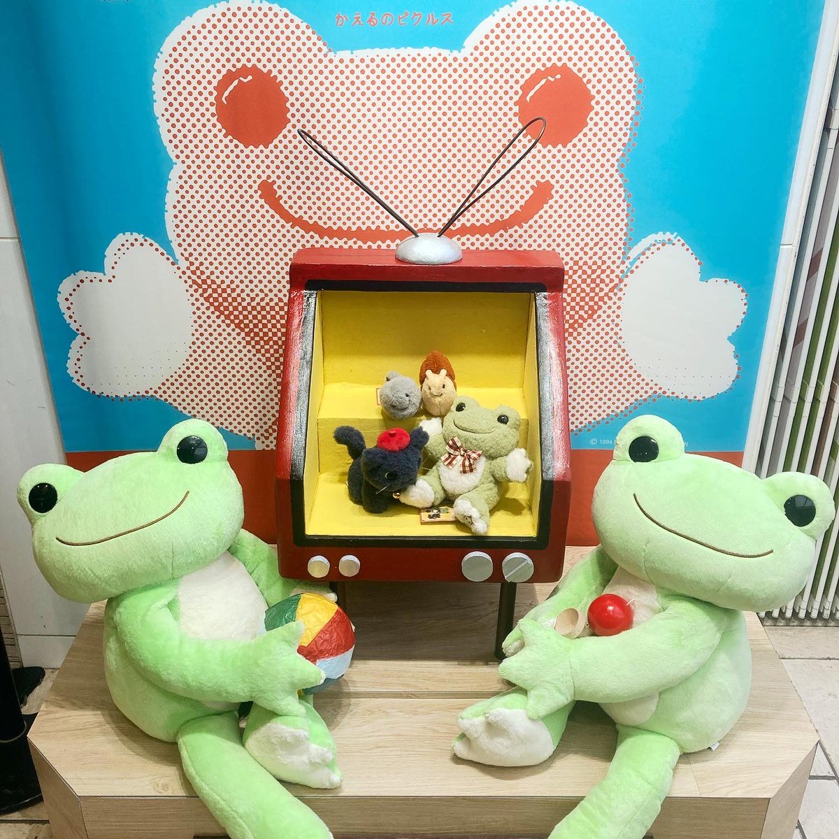 Pickles The Frog かえるのピクルス Picklesthefrog6 Twitter