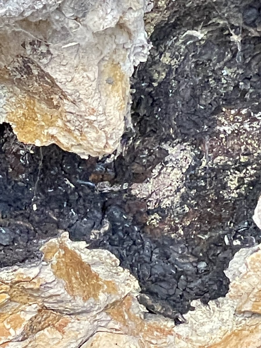 brettrossj's tweet photo. Wondering if this could be a #blackmatlayer #Geology @Kosmographia https://t.co/5TKrpkmXbt