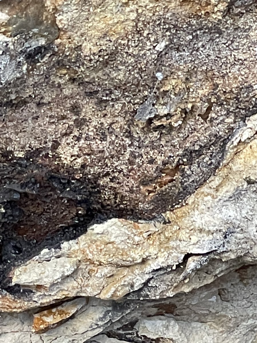 brettrossj's tweet photo. Wondering if this could be a #blackmatlayer #Geology @Kosmographia https://t.co/5TKrpkmXbt