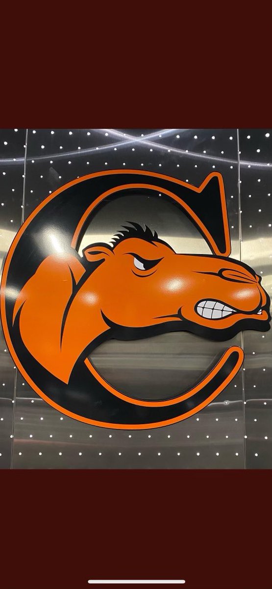 Keidrick Richardson Jr (PAW PAW) tweet media