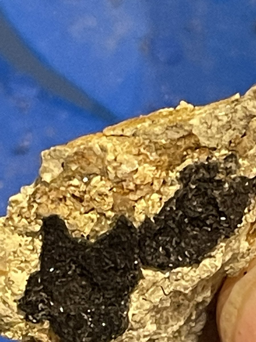 brettrossj's tweet photo. A few more rock images. Some crystal formations. All of the sediments shown seem to sparkle. #blackmatlayer (?) @Kosmographia #youngerdryas (?) https://t.co/HCyasLHp1I