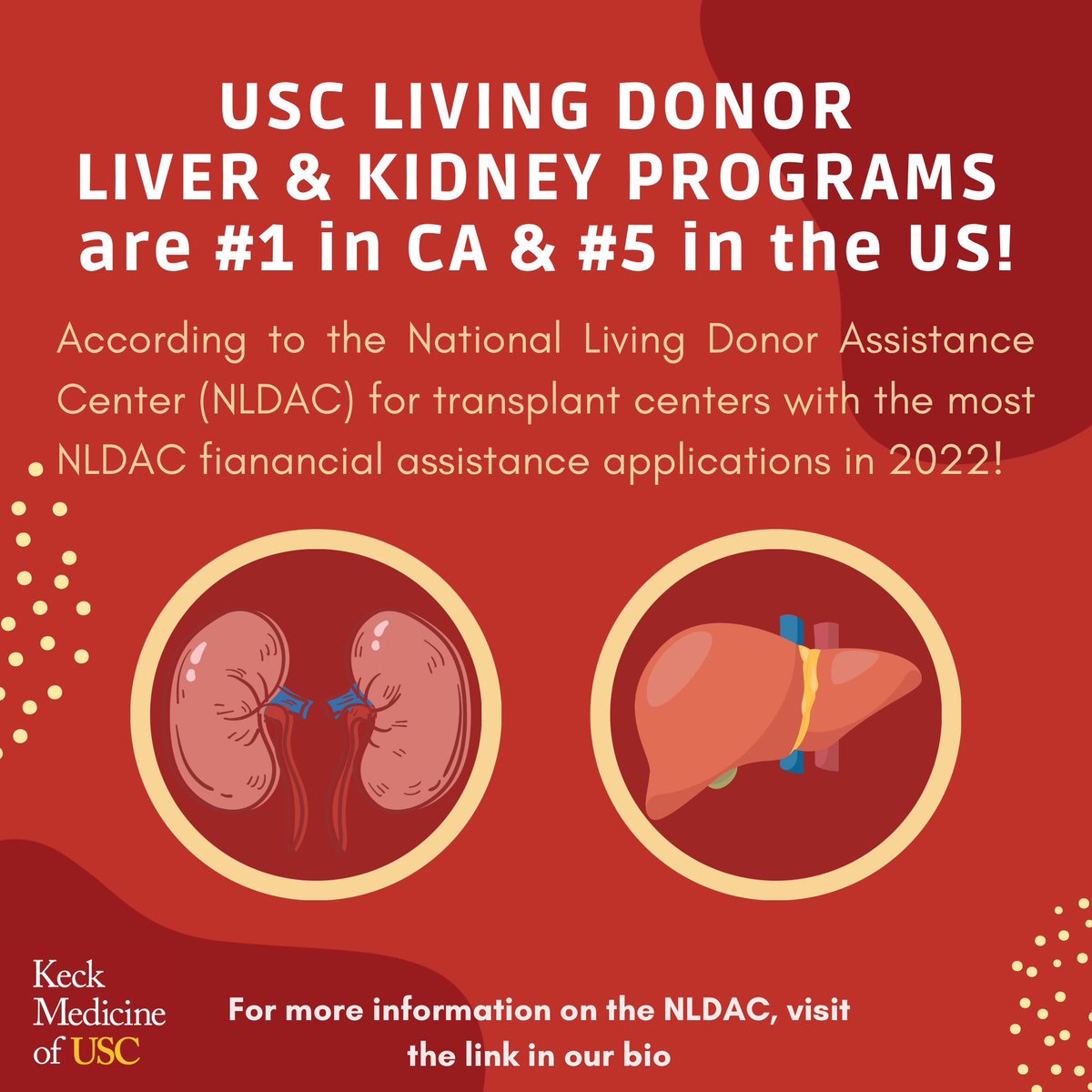 USCLivingDonors's tweet photo. We are proud to announce that at Keck Medicine of USC, the Living Donor Program is #1 in California and #5 in the United States for the most National Living Donor Assistance Center (NLDAC) applications!
#keckmedicine #livingdonor #nldac #organtransplant https://t.co/AnS1LA4Ire