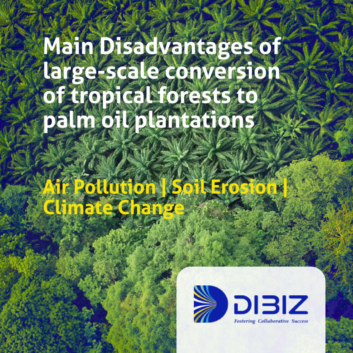 DIBIZglobal's tweet photo. Main disadvantages of large-scale conversion of tropical forest to palm oil plantations.
#sustainability #palmoil #smallholders #mpob #mpoc #mpocc #rspo #mpoa #palmoilanalytics #carbonfootprint #zeroemissions https://t.co/wC1ziepeaK