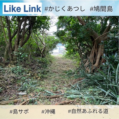 LikeLink350's tweet photo. 『 鳩間島(沖縄)の世界｡』
#LikeLink メンバー #かじくあつし 
🔻新着投稿『自然あふれる道』
https://t.co/FaOa66M5Wl

リンクして #島サポ 😍

#鳩間島 #八重山 #沖縄 #鳩間ブルー #鳩間島好きな人と繋がりたい #沖縄好きな人と繋がりたい #海が好きな人と繋がりたい #離島 #島おこし #島のくらし https://t.co/I7d2lONe5o