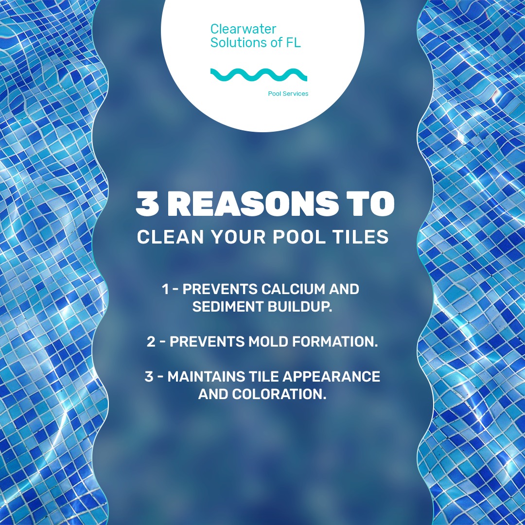 CWSofFl's tweet photo. 🧼 Don't forget your tiles!

🧪 Tiles require frequent cleaning to avoid sediment accumulation, mold formation and more.

📲 Don't let your tiles deteriorate, call us at (𝟱𝟲𝟭) 𝟱𝟳𝟯-𝟬𝟯𝟮𝟵 because at 𝗖W𝗦𝗼𝗳𝗙𝗹 we have the solution for your dirty tiles! https://t.co/68C5mCILF0
