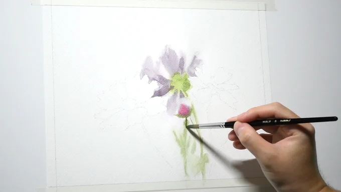 1時間20分くらいで描いたコスモスの花。#透明水彩 #水彩画 ↓メイキング動画↓ 