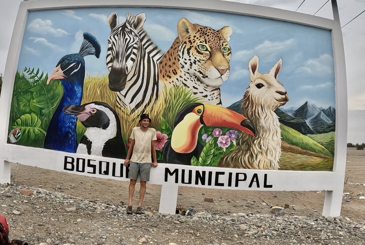 thomas2508's tweet photo. Was ein langer „Ritt“ aber nun bin ich an der Grenzstadt Tacna angekommen. Ab hier lege ich erst mal ein kleines Päuschen ein.☀️🛌💤

#G9toAmerica #Tag27 #97km https://t.co/CLmipuSEf0