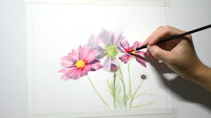 1時間20分くらいで描いたコスモスの花。#透明水彩 #水彩画 ↓メイキング動画↓ 
