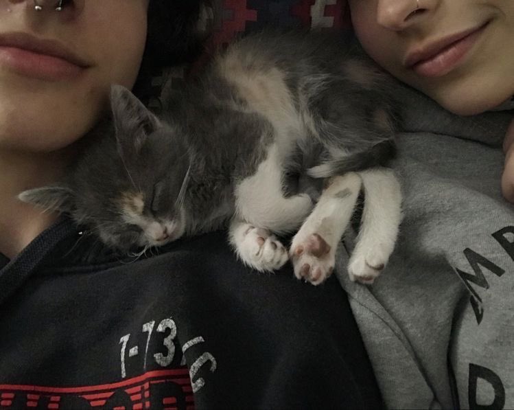 † (@sicughter) on Twitter photo 