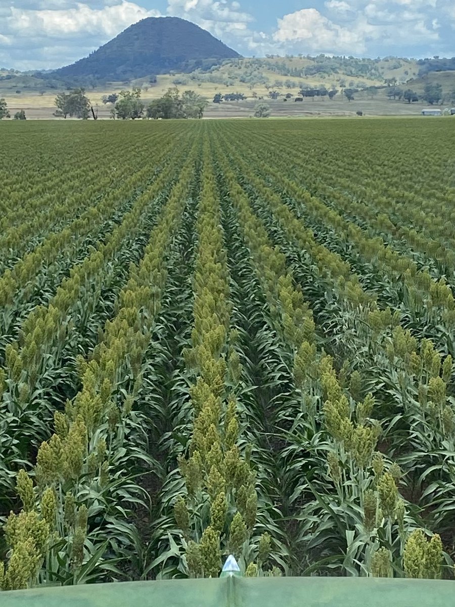 Andrew McClenaghan tweet media