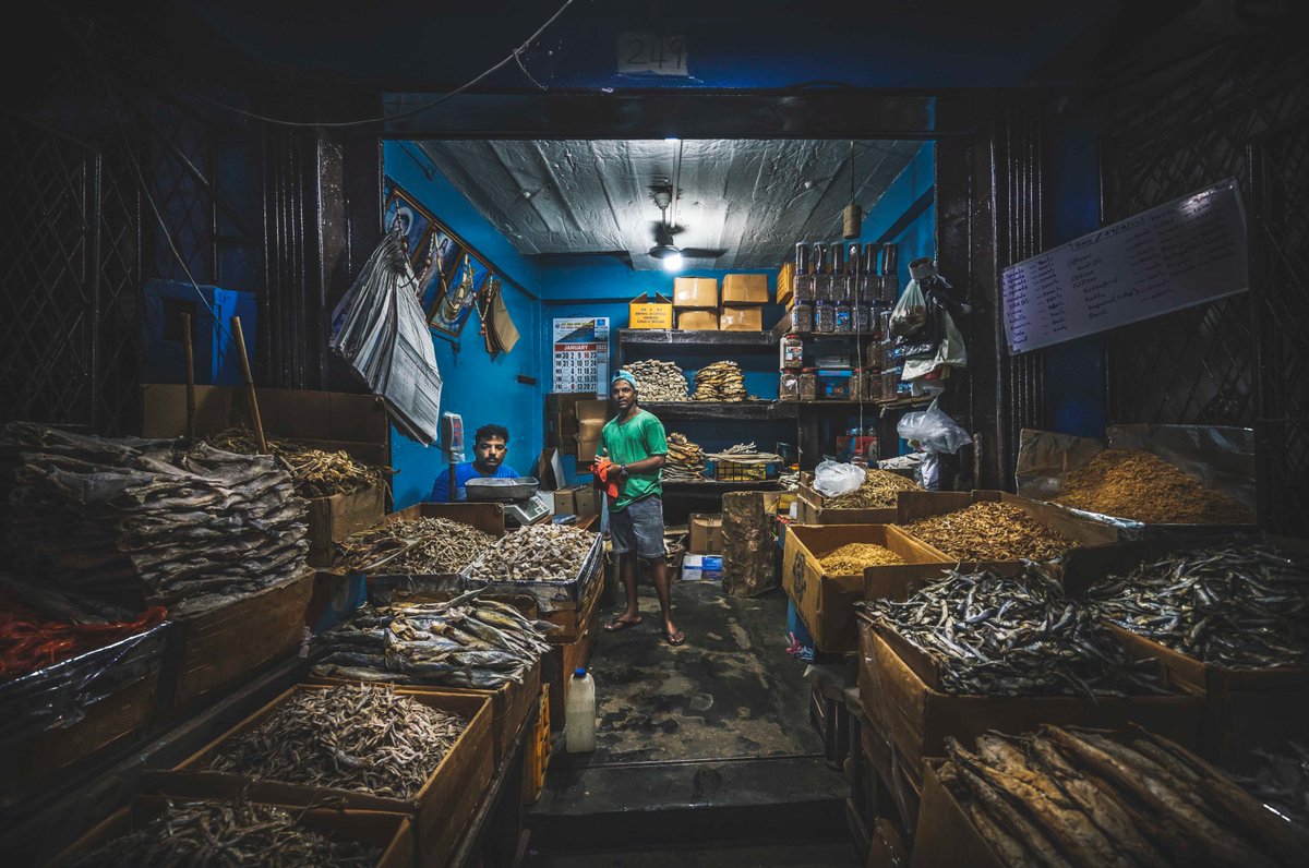 S_MorningLight's tweet photo. KARAWALA KARAYO
#Dryfish merchants, surrounded by their pungent stock. #KeyzerStreet, #Pettah. Jan 2023. More@ https://t.co/Jwzvn6ymk9
#portraitphotography #streetphotography #travelphotography #citypeople #colombo #destination_SriLanka #environmentalportrait #karawala #SriLanka https://t.co/EB1TiSiaFe
