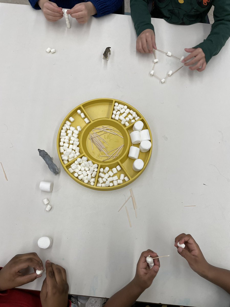 lorijonescbe's tweet photo. We had the best time with @Weescientists making animal homes out of toothpicks and marshmallows! We talked about 2D and 3D shapes and worked together with a buddy. https://t.co/NbikKEto0J