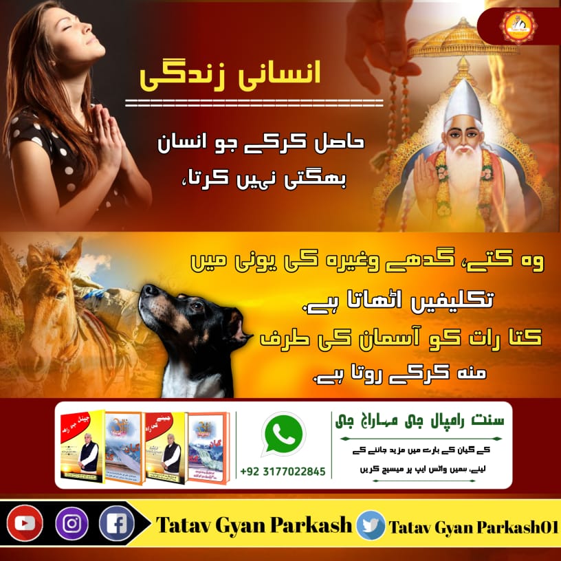#GodMorningWednesday 
انسانی زندگی حاصل کرکے جو انسان بھگتی نہیں کرتا، وہ کتے، گدھے وغیرہ کی یونی میں تکلیفیں اٹھاتا ہے. 
کتا رات کو آسمان کی طرف منہ کرکے روتا ہے.
#SaintRampalJi