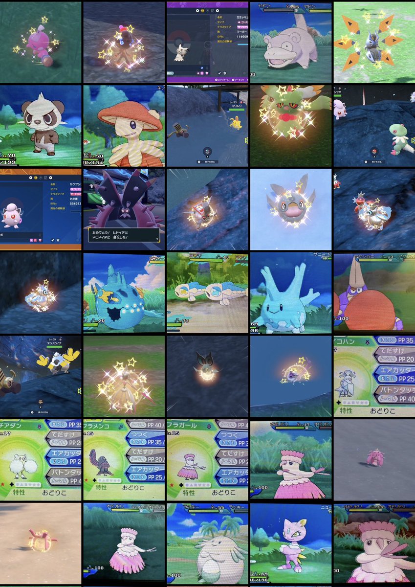 ロイ ポケモン色違い厳選垢 1月はニューラに始まりカヌチャンで終わりました 29匹 色オドリドリ四種コンプが印象的かな バイオレットの色違い厳選もコンスタントにやれたし2月もがんばります 今月の色違い 色違いポケモン ポケモンsv ポケモン