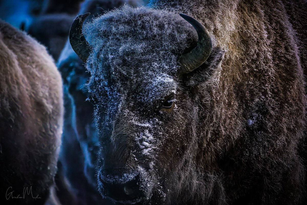 Really just want my Etsy page to blow up and sell some prints all over 😭 etsy.com/shop/GrahamsPr…