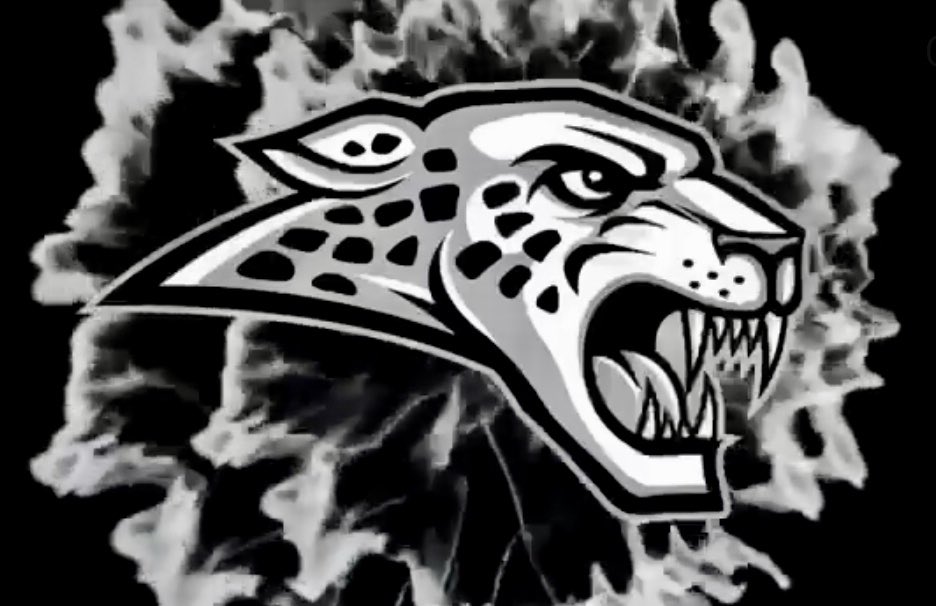 JagBlackShirts tweet media