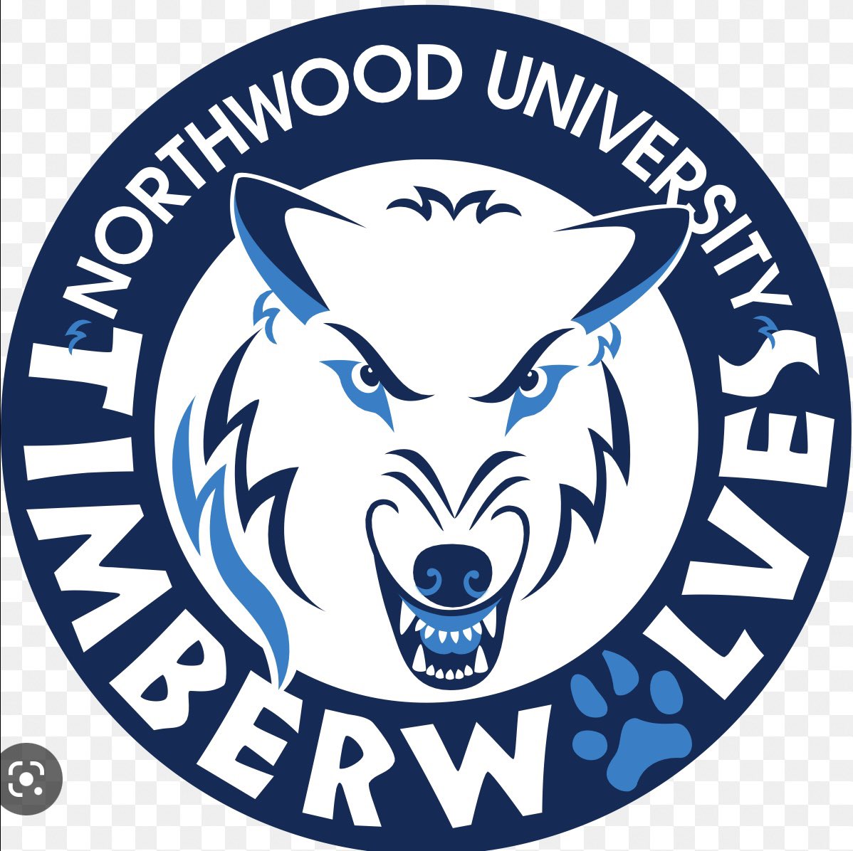 Thankful to have received a PWO offer to NorthWood💙!!! @CoachTyslenko <a href="/CoachBeurer/">Dustin Beurer</a> <a href="/CoachLatty/">Eric Latimore</a> <a href="/Northwoodfball/">Northwood Football</a>