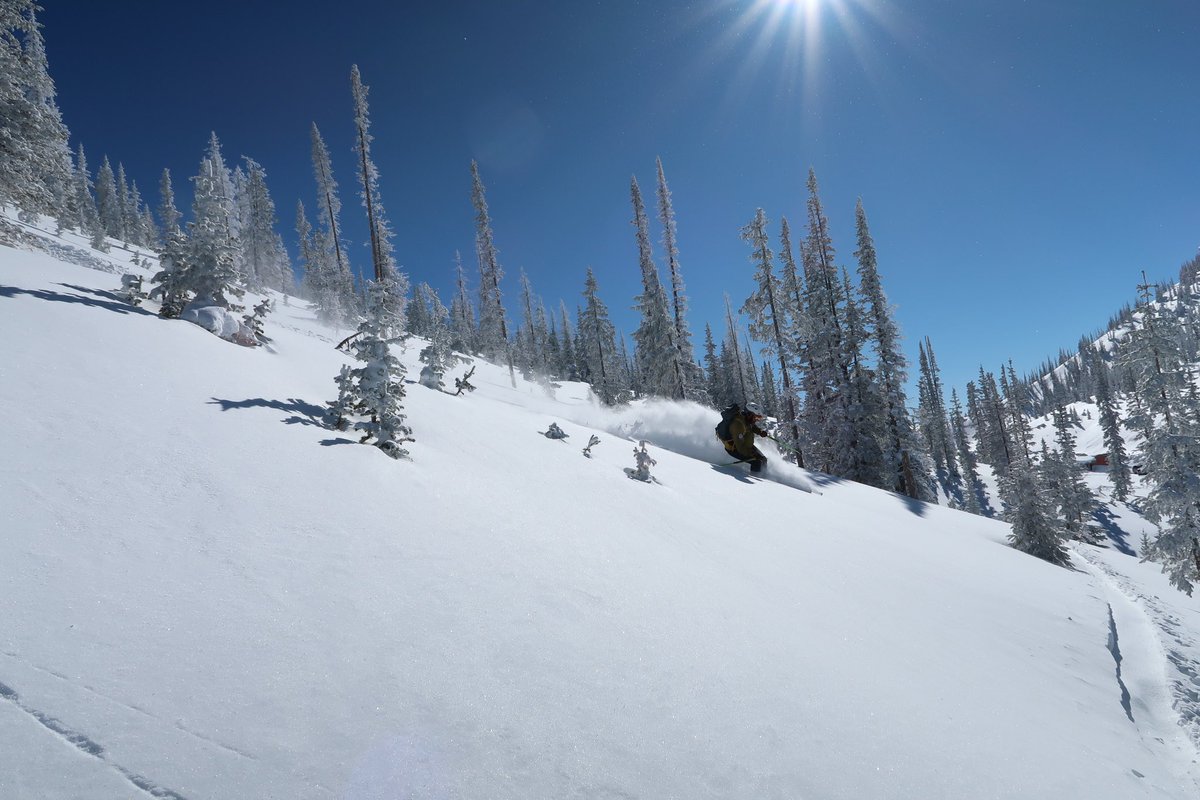 Justin Greenbaum tweet media