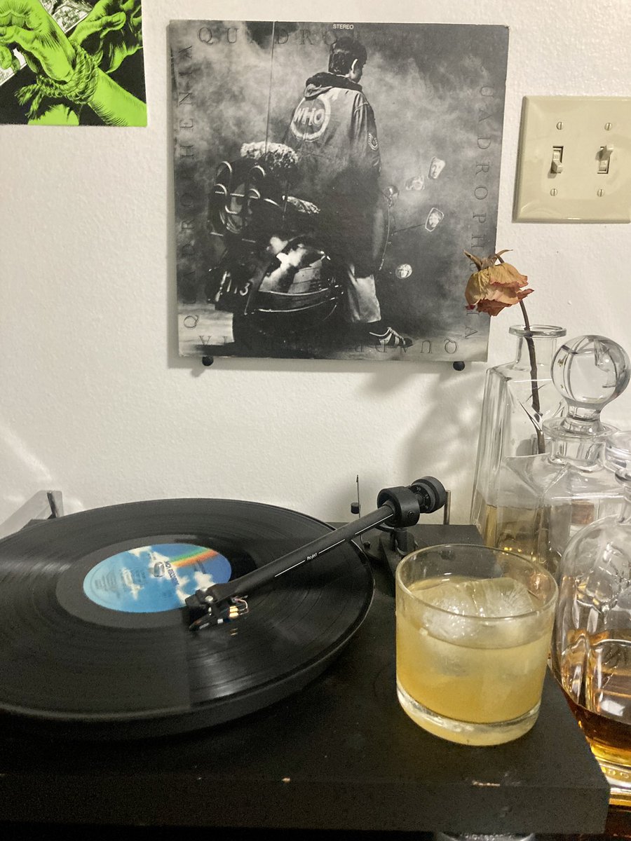 Trash Bird tweet media