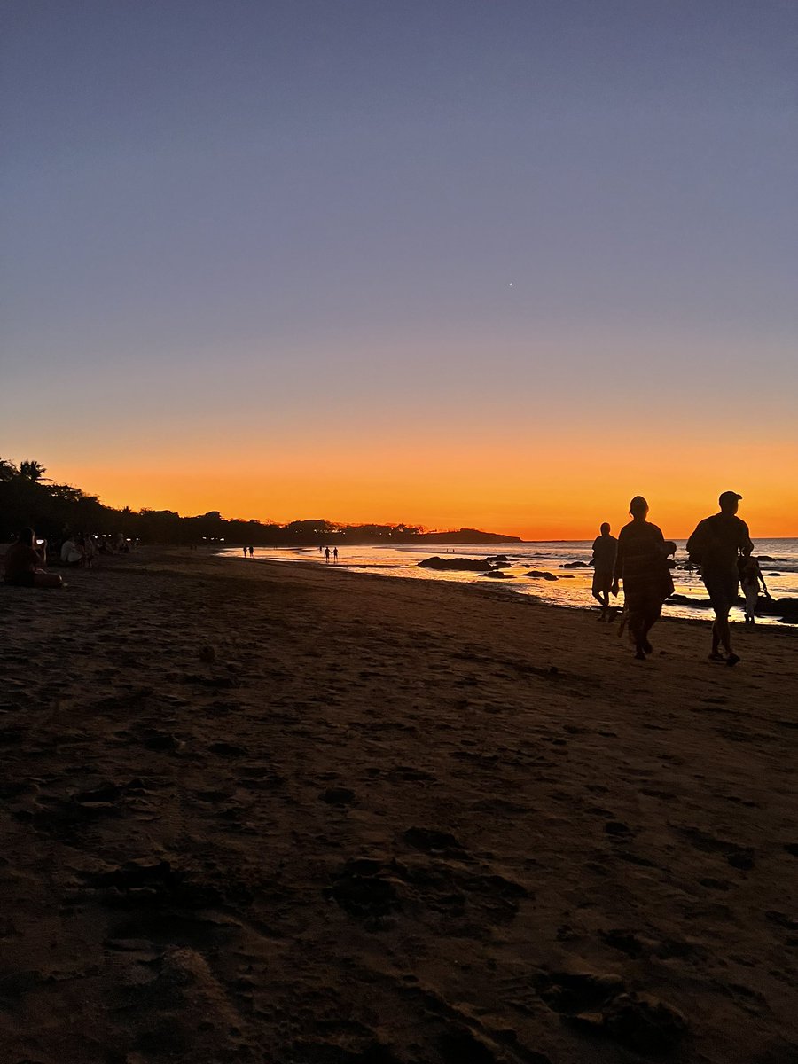 BikiniBeach_Aus's tweet photo. #bba in Costa Rica 🇨🇷 pura vida 🌴 https://t.co/Ca6OrcUj18