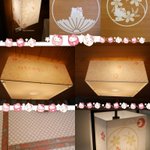 あさこ(キティちゃんファンクラブ)のツイート画像