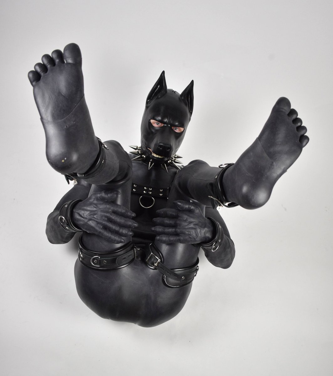 Smitizen's tweet photo. Wearing gloves and footwear for the puppy, is not more cute? @prince_rubber
#smitizen #musclesuit #fakemuscles #fakeabs #mask #malemask #maskfetish #rubberfetish #transformation #secondskin #kinkygay #puppymask #puppyplay https://t.co/Rb9ZD8XIPM