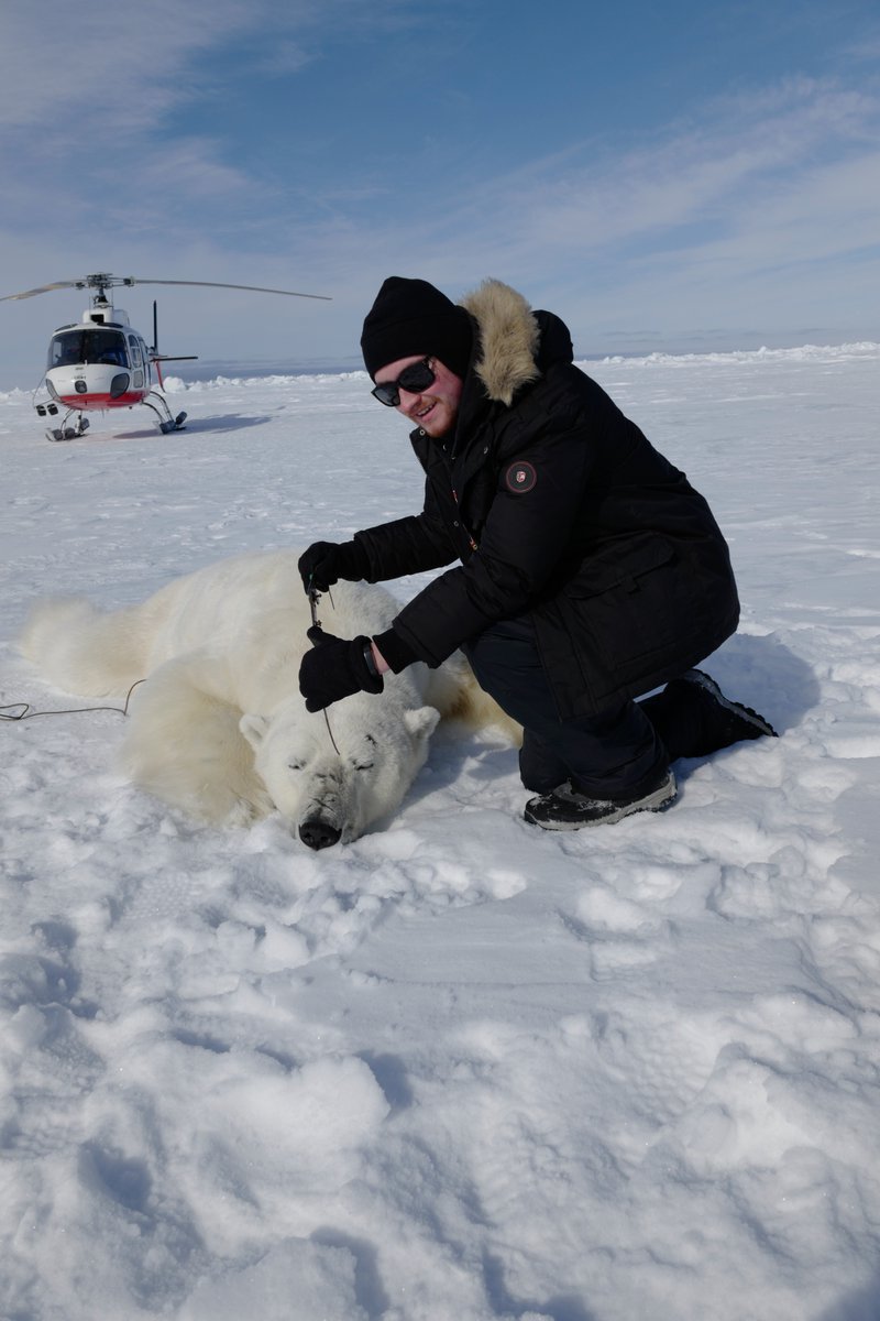 Congratulations soon to be Dr. Thompson (assuming the defence goes according to plan this coming Thursday as I'm certain it will: the dissertation is amazingly strong). Doing <a href="/ualbertaScience/">UAlbertaScience</a> proud! More exciting research &amp; conservation contributions to come.