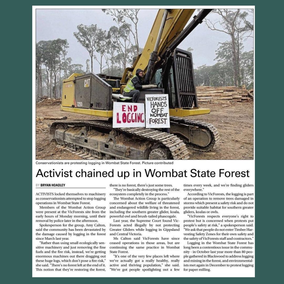 alliance_forest's tweet photo. Coverage in @ballaratcourier of recent stop logging actions in the proposed national park at Wombat by @savewombat & supporters.
Critical habitat for greater gliders & koalas being destroyed in disaster logging operations.
#EndLoggingNow #ProtectForests https://t.co/5HfxueGODg