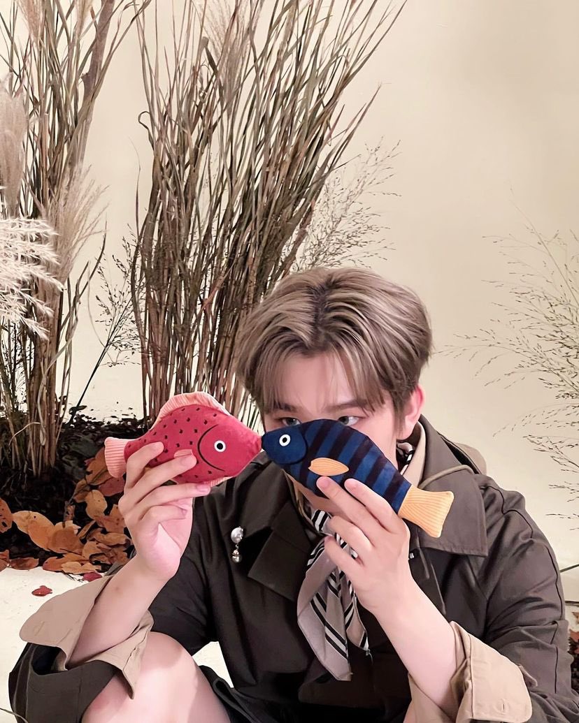 이펙스 인스타 tweet media