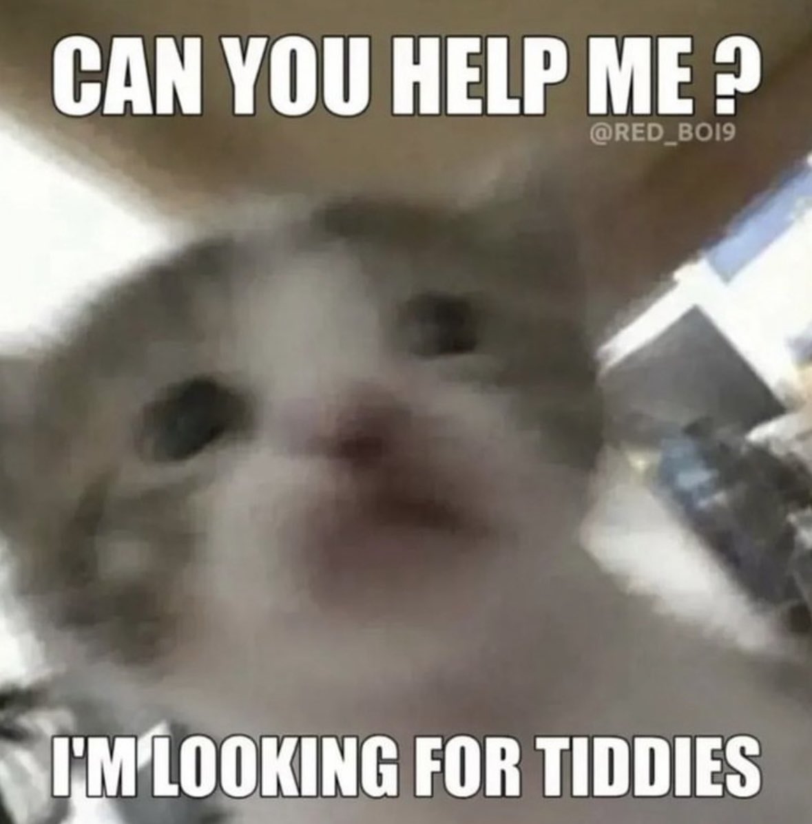 literallymecats's tweet photo. https://t.co/ZCwnQNAyLK