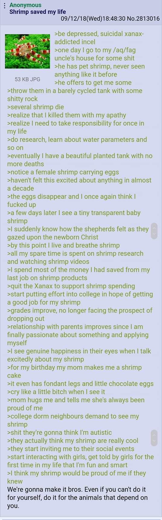 4CHAN GREENTEXTS on Twitter "https//t.co/a4DDlUaz2B" / Twitter