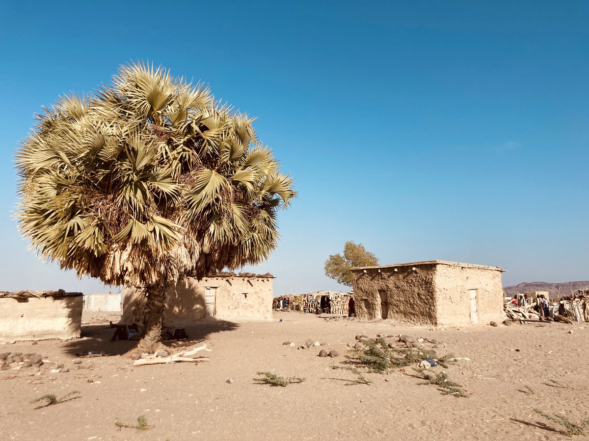 BaudouinEmmanu3's tweet image. 🤗Retour de la mission #ethnoarchéologique à #Djibouti dans la province de Dikhil dans le cadre de la mission #PSPCA dirigée par @CauliezJessie  
#AsEyla #Djibouti #earthen #architecture @umr5608_traces @P2EST_CEPAM  🧱🧱