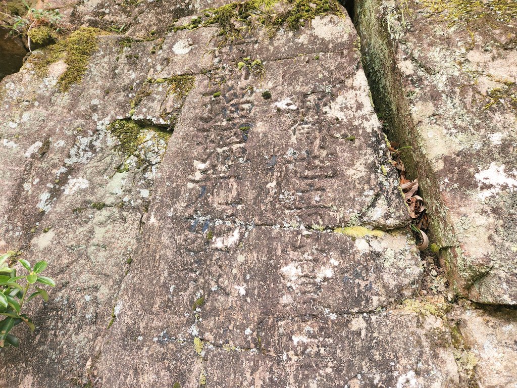 FDG公式 on Twitter 