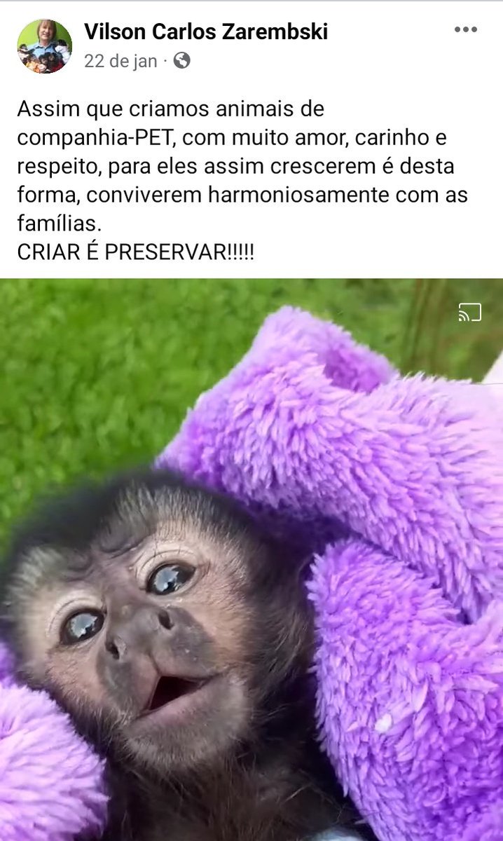 arthursoaressf's tweet photo. @hi_kika @Jaogstv_ Esse cara tem autorização pra venda legal no Br https://t.co/HGV1HLDRDC