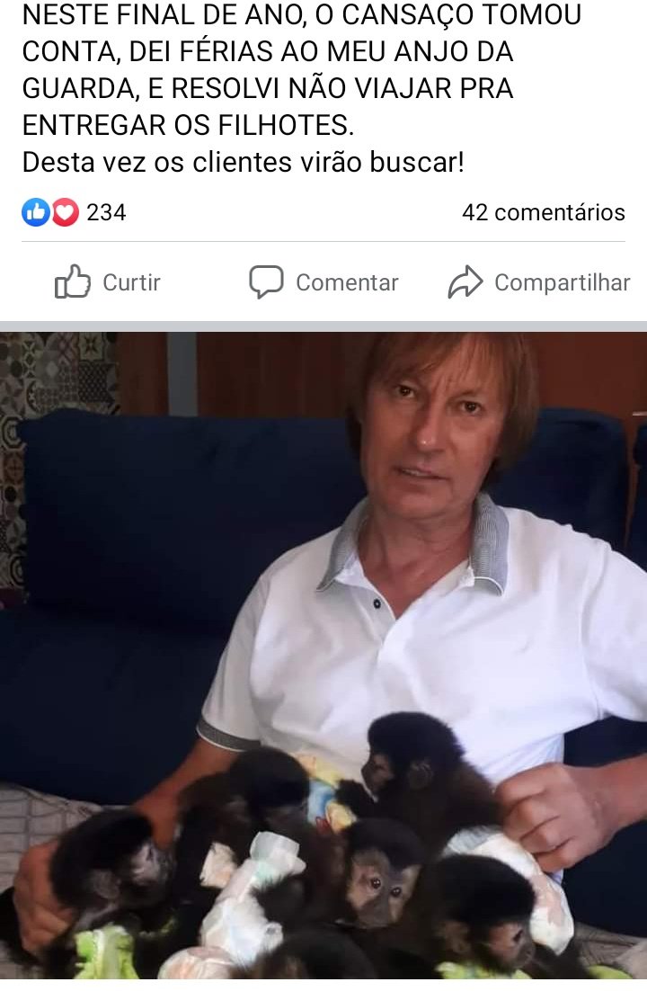 arthursoaressf's tweet photo. @hi_kika @Jaogstv_ Esse cara tem autorização pra venda legal no Br https://t.co/HGV1HLDRDC