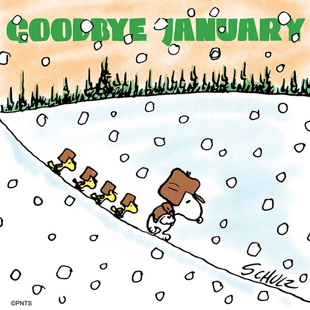 Peanuts Out of Context (@peanutsnocont) on Twitter photo 