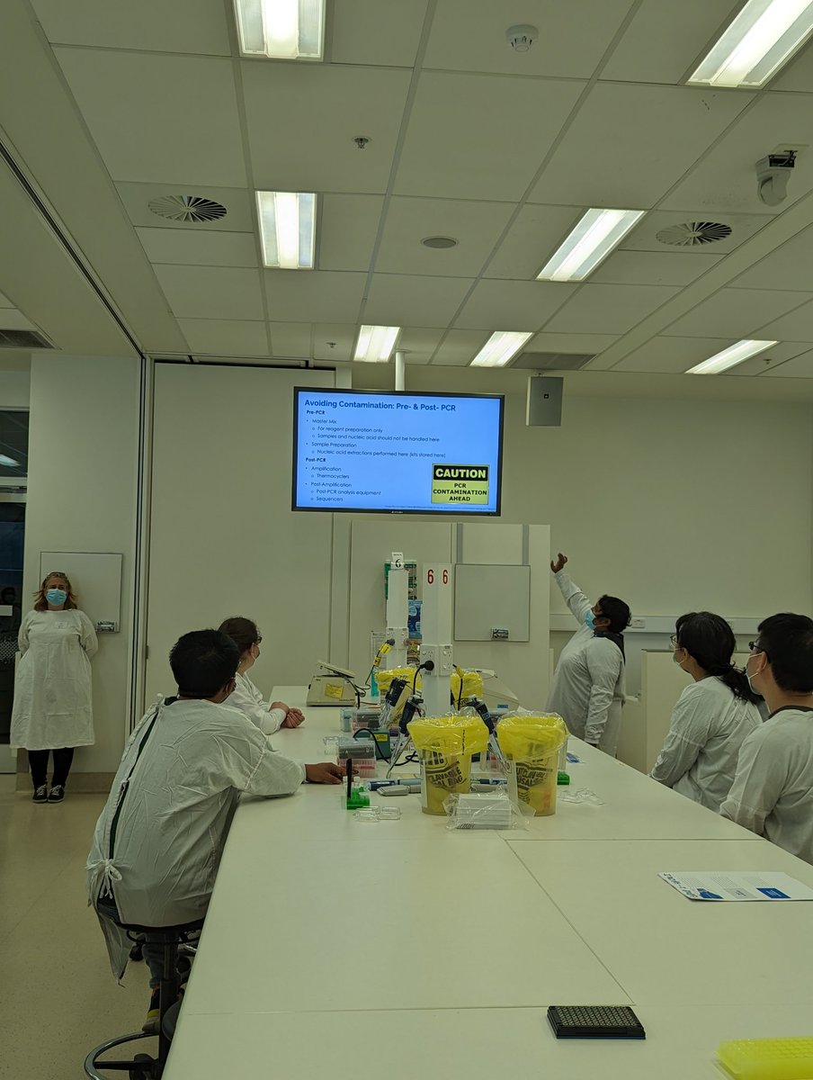 Tuyet Hoang tweet media