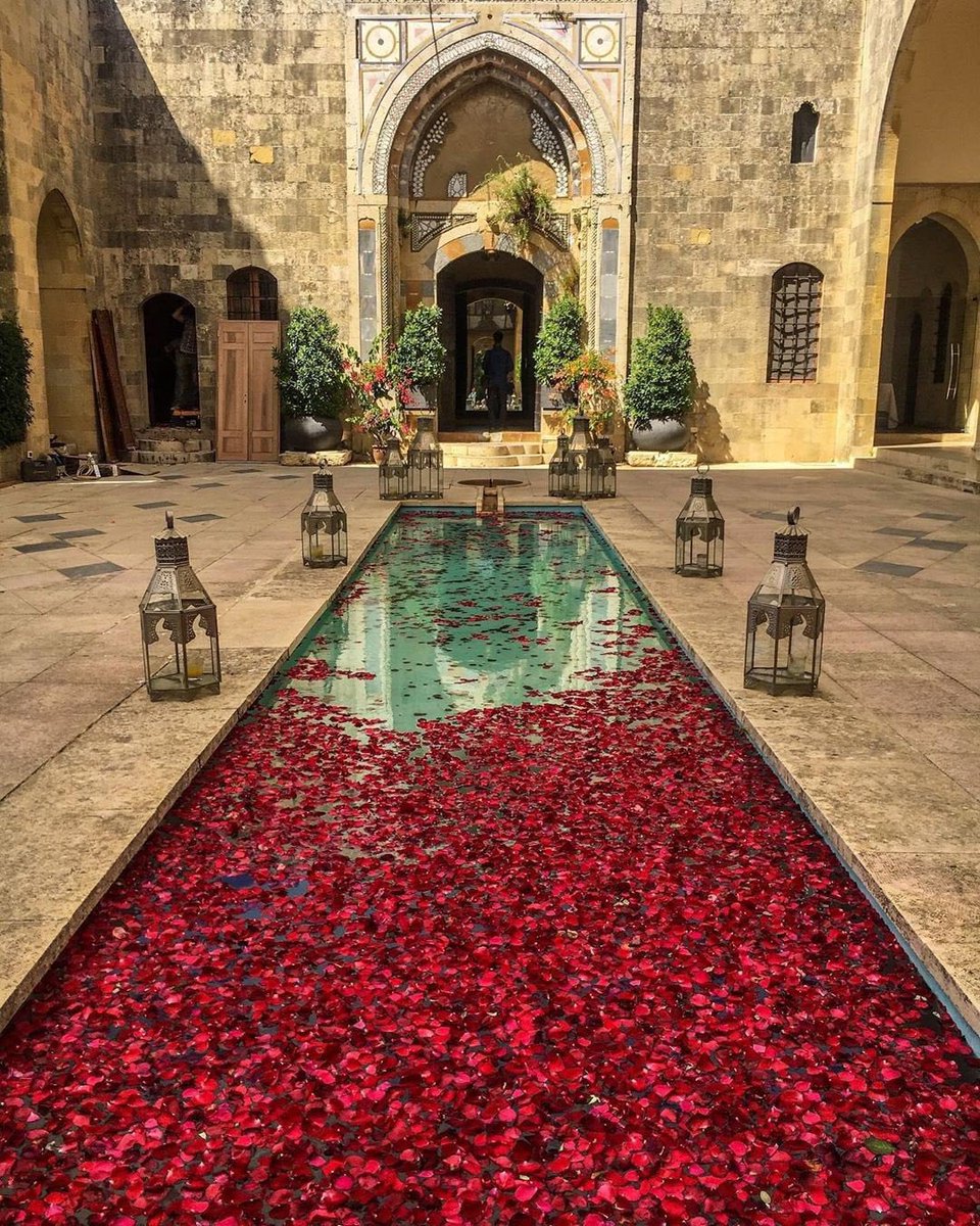 mikael_jibril's tweet photo. Pray to be guided — Pray to know what is meant for you. https://t.co/2VTgI4lzUe