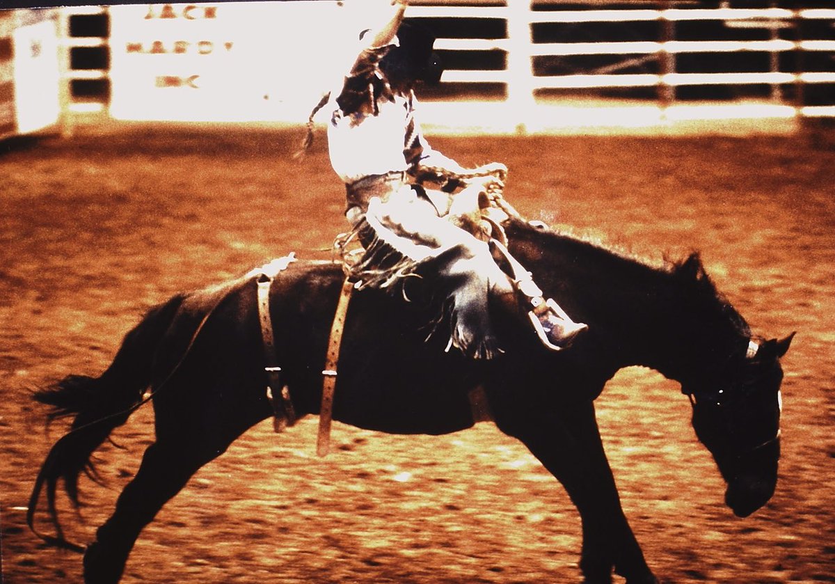 FutureArray's tweet image. Almost out of the gate! 20 hours to go for our burn ticket mint that gets you access to our limited edition #35mm collection. First 2 burns coming this Friday. 🎟🔥🎞 #nftphotography #NFTs #manifoldxyz  Mint link: app.manifold.xyz/c/FTRABurnTick…