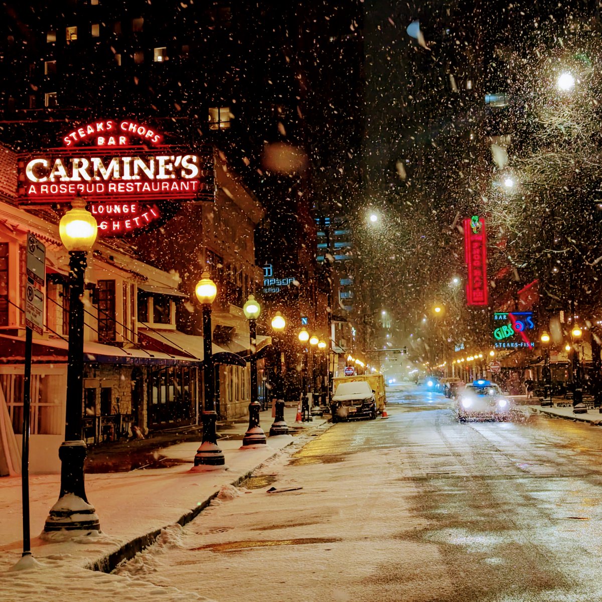 LarryDocimo's tweet image. Rush St.

#chicago #chicagoland #snow 

#teampixel #googlepixel #pixel7pro #nightsight #mobilephotography