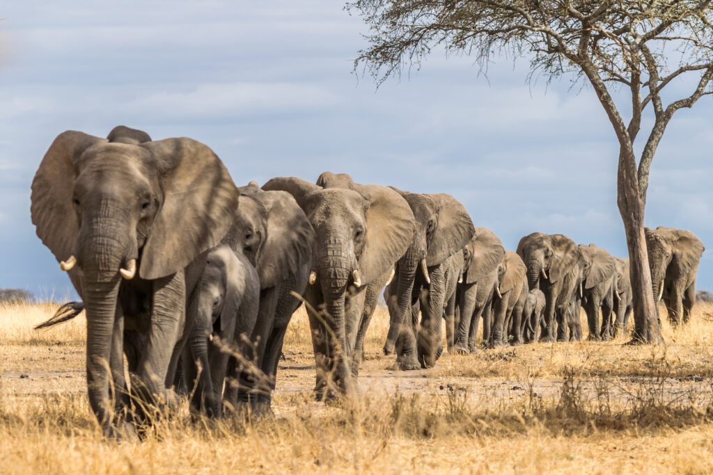 MinervaSQL's tweet image. zcu.io/NmFz Postgres Indexing: When Does BRIN Win? #PostgreSQL #PostgreSQLPerformance #PostgreSQLDBA #PostgreSQLTroubleshooting