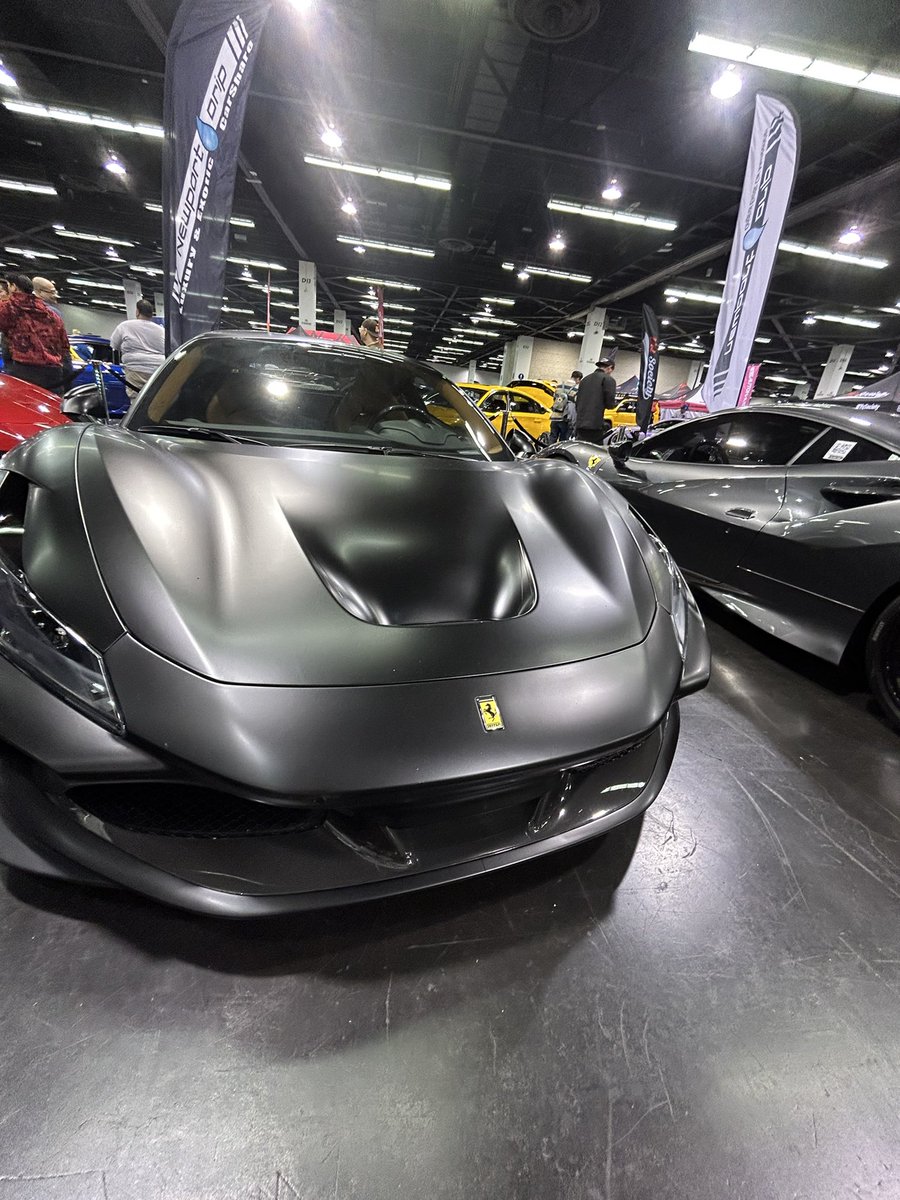 Rexy Rex tweet media