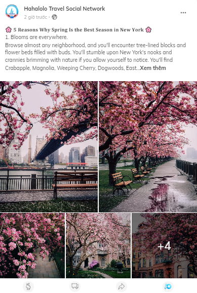 FrankDaviss_'s tweet photo. 🌸 𝟓 𝐑𝐞𝐚𝐬𝐨𝐧𝐬 𝐖𝐡𝐲 𝐒𝐩𝐫𝐢𝐧𝐠 𝐈𝐬 𝐭𝐡𝐞 𝐁𝐞𝐬𝐭 𝐒𝐞𝐚𝐬𝐨𝐧 𝐢𝐧 𝐍𝐞𝐰 𝐘𝐨𝐫𝐤 🌸
#hahalolo #halome
See here: https://t.co/lXnNvnp8cP https://t.co/maPvjUnSEQ