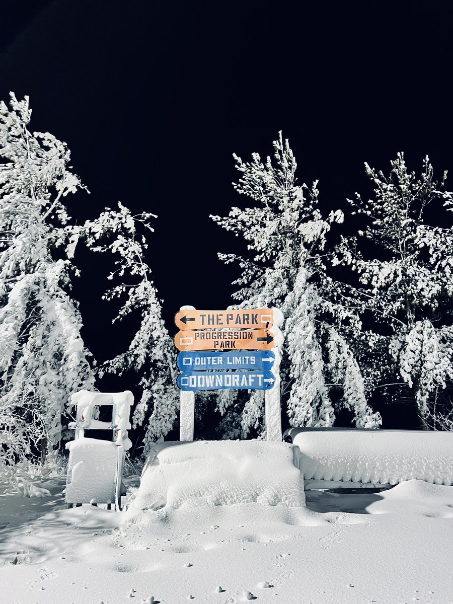 corduroydesigns's tweet image. #snowcode 🤍❄️🎿
