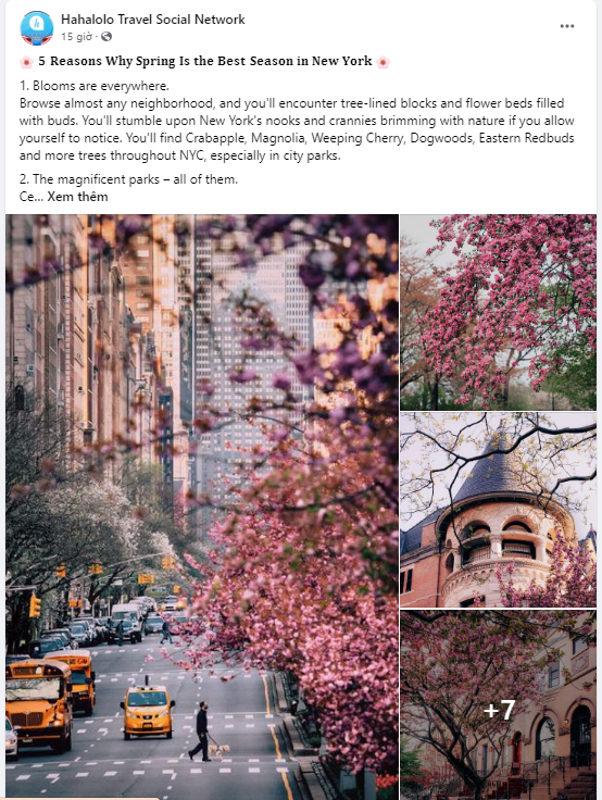 wang_jaydan's tweet photo. 🌸 𝟓 𝐑𝐞𝐚𝐬𝐨𝐧𝐬 𝐖𝐡𝐲 𝐒𝐩𝐫𝐢𝐧𝐠 𝐈𝐬 𝐭𝐡𝐞 𝐁𝐞𝐬𝐭 𝐒𝐞𝐚𝐬𝐨𝐧 𝐢𝐧 𝐍𝐞𝐰 𝐘𝐨𝐫𝐤 🌸
#hahalolo #hahaloloallinone #hahaloloflightticket #hahalolotour #hahalolohotel #USA #travelsocialnetwork  #nyc #NewYork
 See more here: https://t.co/PLH8PCTLnc https://t.co/J3g9erAD69