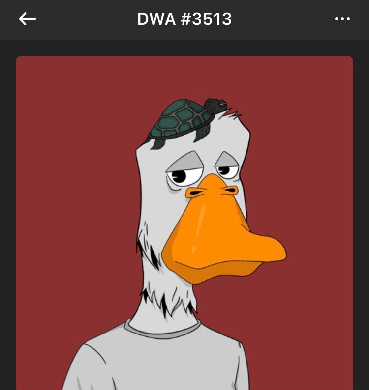 Wow I won ahaha first in my life!!!! a Duckz Wit Attitude by <a href="/DWAnfts/">Duckz Wit Attitudes</a> from <a href="/thedale_/">TheDale</a> If you don’t want to you don’t have too enjoy your day !!
Thank youuuuuu I m so happy!!! 
Now have some more staff in my Solana wallet)