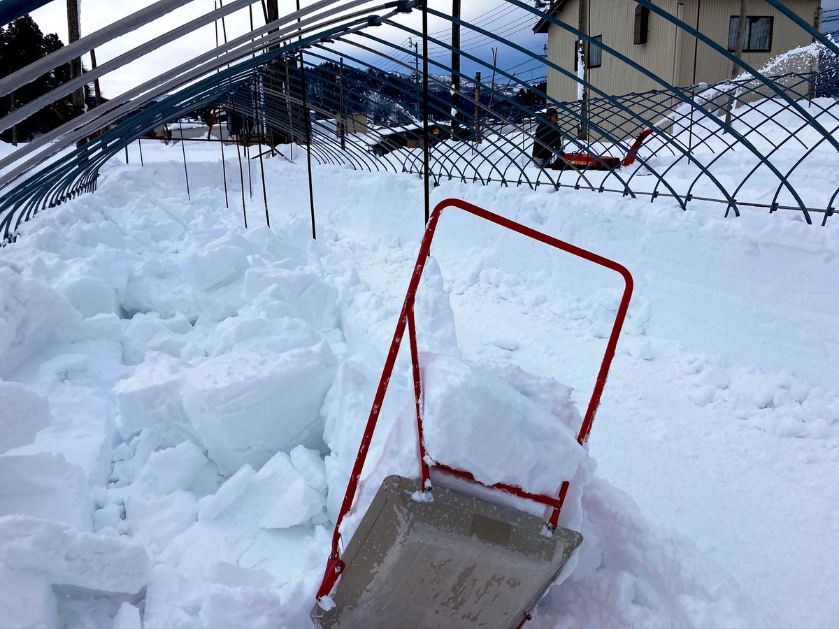 ReciprocalColor's tweet photo. 朝からハウスの除雪。
西の空は黒く怪し���感じ☁️ https://t.co/CuyDoxjQ77