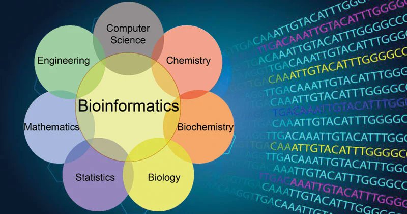 LuciaWi22's tweet photo. #Bio #Informatics:
Bioinformatics is an interdisciplinary meadow that evolves approaches and software trappings for understanding biological data. interdisciplinary turf of science, #bioinformatics  syndicates computer science, statistics, #mathematics, and #engineering. https://t.co/sMtwjjzhs4
