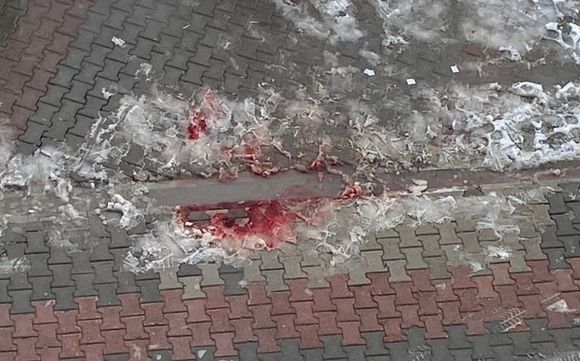 Senin akan bu tertemiz kanında mamadan mamalanan onursuz, nasipsiz,kansız, şerefsiz ve insafsız mizantropların hırsları var yavrum. Senin karlara düşen bu kanın hâlâ onların şerefinden daha yüksektedir. Seni o dişlerin arasına bırakanlar milletin artıkları, senin katillerindir.